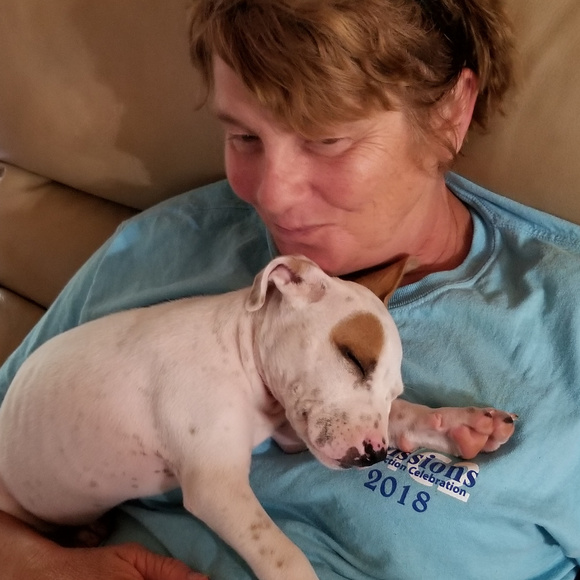 Meet your Posher, Monica - Picture 7 of 8